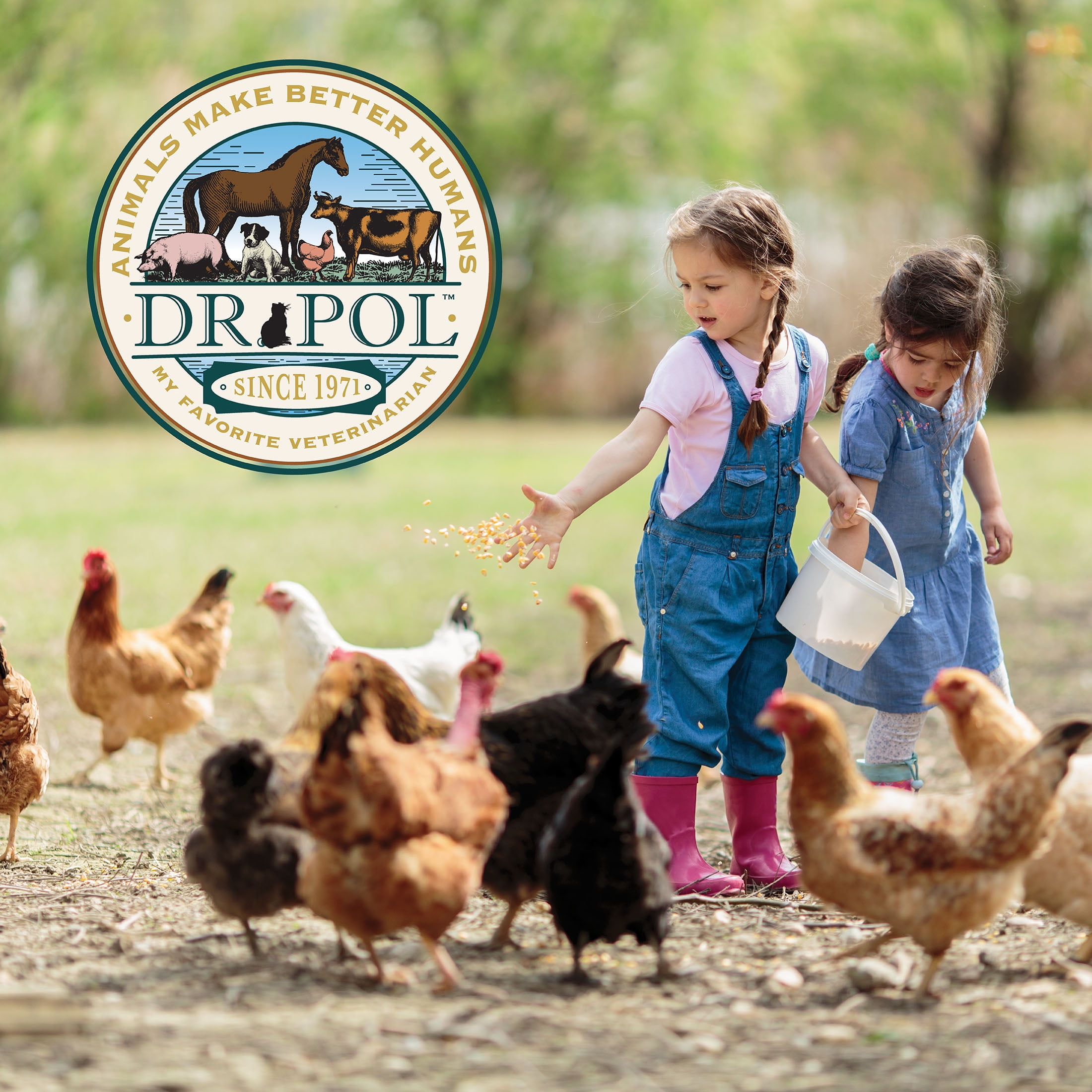 DR. POL HIGH PROTEIN 28% EXTRUDED GAMEBIRD FEED