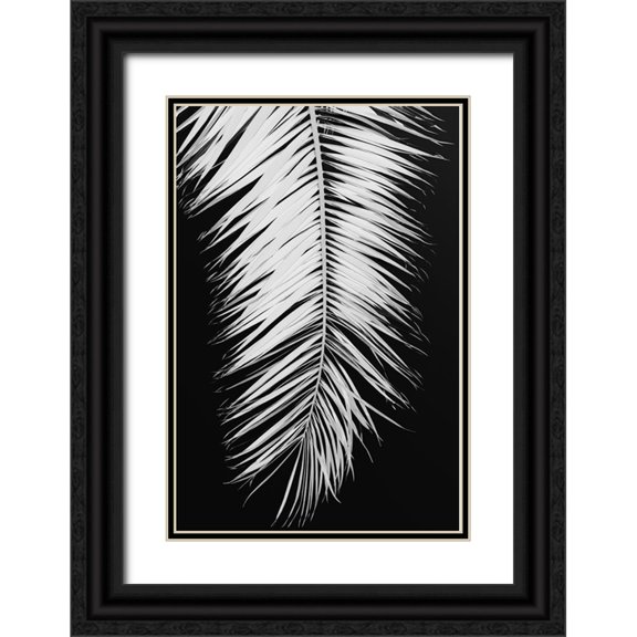 Artographie Studio 17x24 Black Ornate Wood Framed with Double Matting Museum Art Print Titled - Palmblad 004
