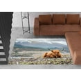 thumbnail image 3 of Highland Cow Rug, Farmhouse Rug, Trendy Rug, Animal Rug, Classic Rug, Home Decor Rug, Machine Washable Rug, Popular Rug, Luxury Rug, 2'x3' - 60x90 cm, 3 of 8