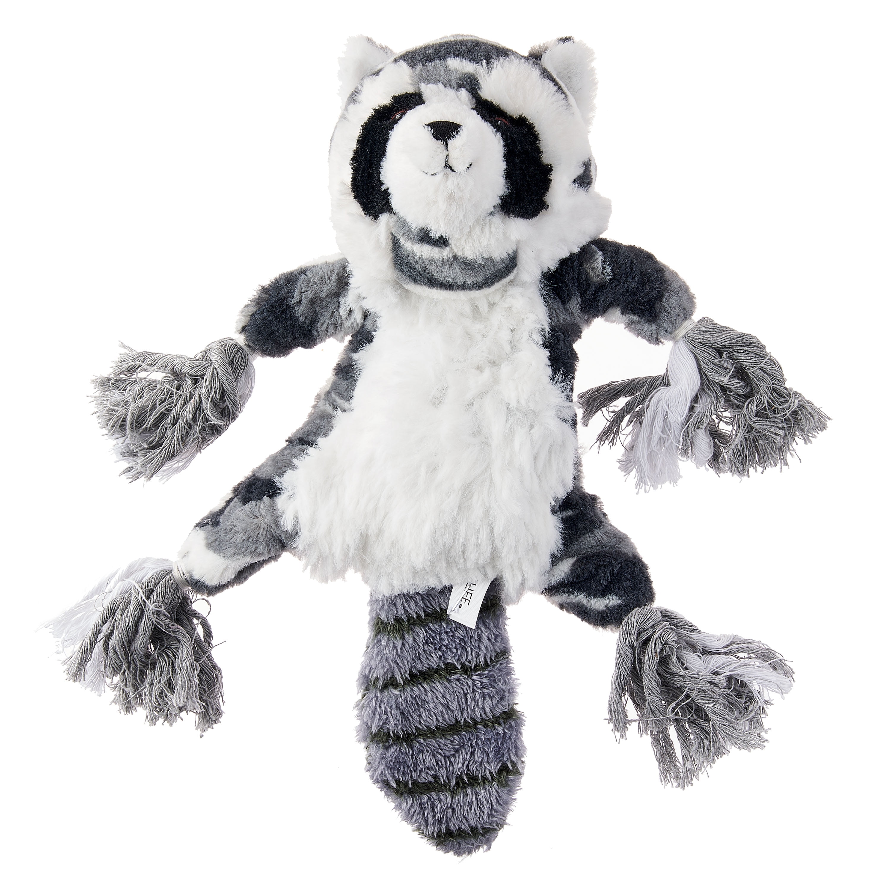 Vibrant Life Fetch Buddy Dog Toy, Raccoon