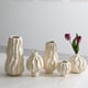 thumbnail image 3 of Jarrón de cerámica retro blanco con flores hidropónicas for sala de estar., 3 of 6