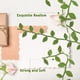 thumbnail image 4 of 1 rollo de cinta de hoja de olivo, cinta para adorno de tela, enredaderas falsas para manualidades, guirnalda, envoltura de regalo, 4 of 5