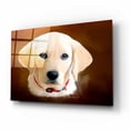 thumbnail image 2 of Epic Art 'Dog 1A' by Ata Alishahi, Acrylic Glass Wall Art, 16"x12", 2 of 8