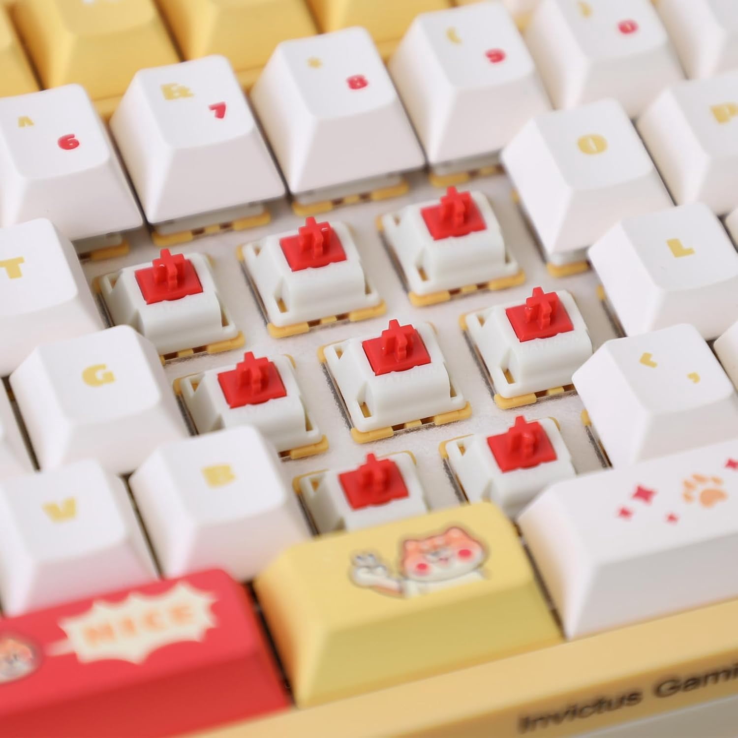 GATERON Mini i Keyboard Switches, Tactile RGB LED 5 Pin 22mm Dual-Stage Spring Factory Pre-lubed 50gf Key Switches for Custom MX Mechanical Keyboard(35PCS)