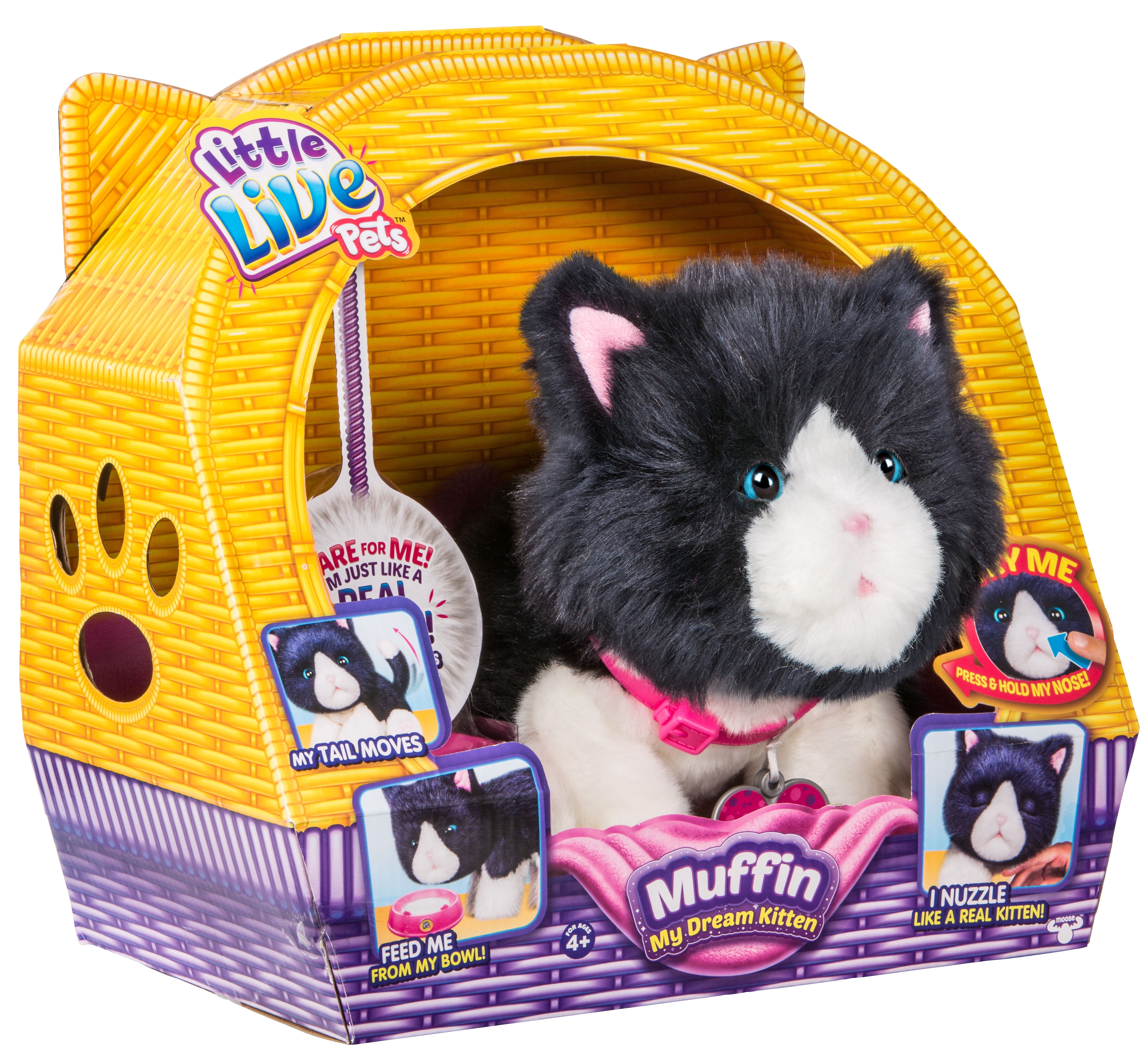 little live pets dream kitten