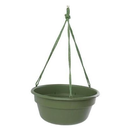 Bloem 6.8 in. H X 12.4 in. D Resin Dura Cotta Hanging Basket Living Green