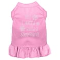 thumbnail image 1 of Yes! I Want To Build A Snowman Rhinestone Dog Dress Light Pink Med (12), 1 of 2