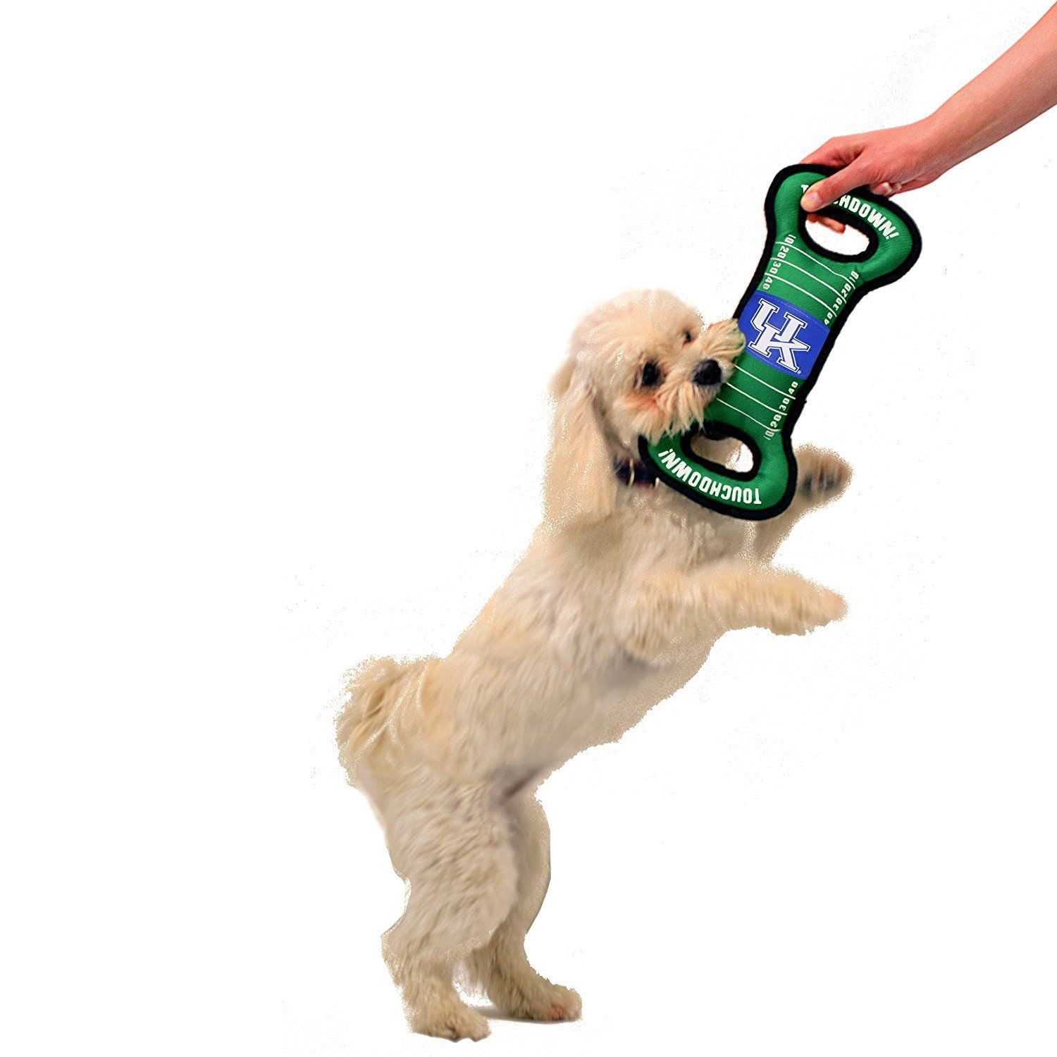 Pets First Collegiate Kentucky Field Toy-Licensed