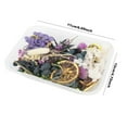 thumbnail image 3 of Dried Flowers Natural Floral Art Craft for Scrapbooking Resin Jewelry Making DIY Home Wedding Bouquet, 3 of 9
