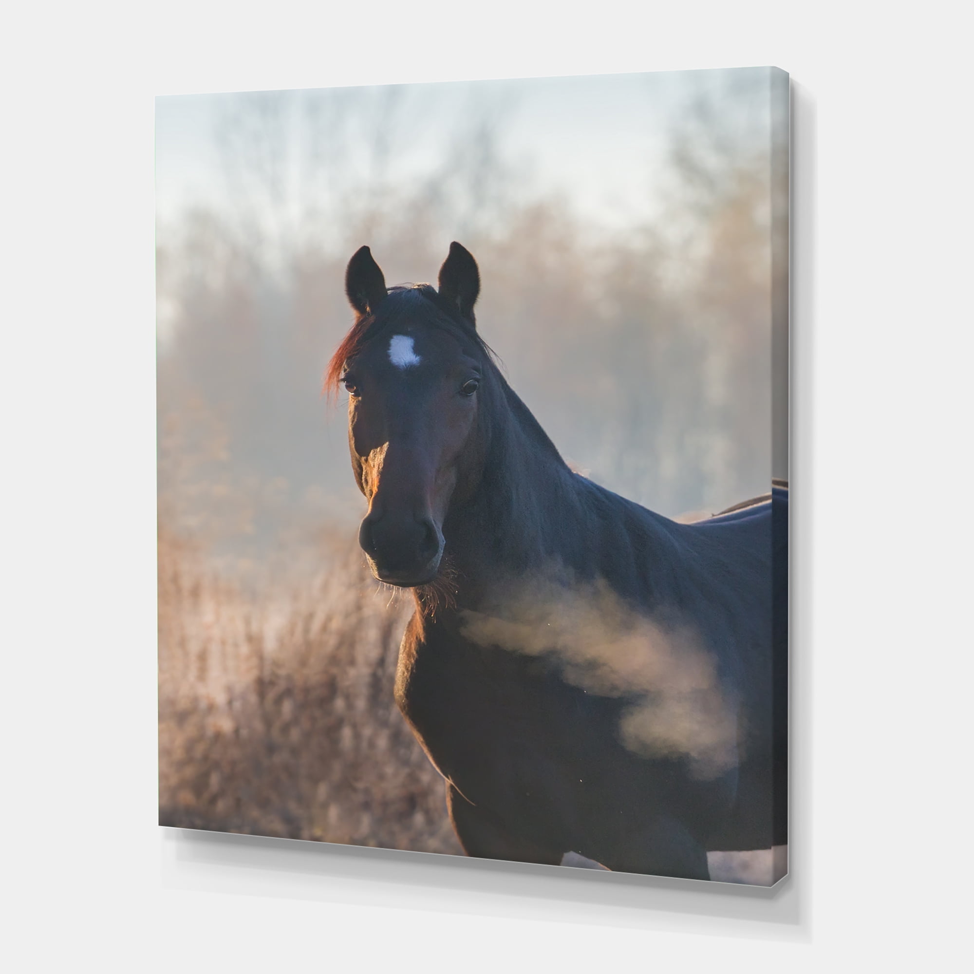 Designart ' Close Up Portrait Of A Horse On An Autumn Morning ' Farmhouse Canvas Wall Art Print