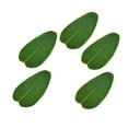thumbnail image 3 of 5 piezas de hojas artificiales de Canna sin hueso Musa Basjoo hojas de hoja de plátano para fiestas hawaianas y bodas verde, 3 of 7