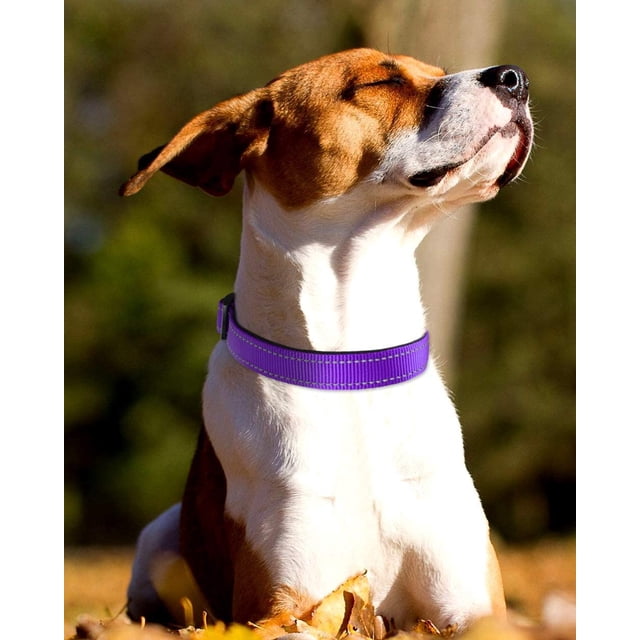 Collar reflectante para perros, ajustable, de nailon transpirable con acolchado de neopreno suave, para perros pequeños, medianos y grandes.