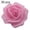 Cyan Pink, variant on Mdesiwst Artificial Foam Rose Flowers Head DIY Wedding Home Decor