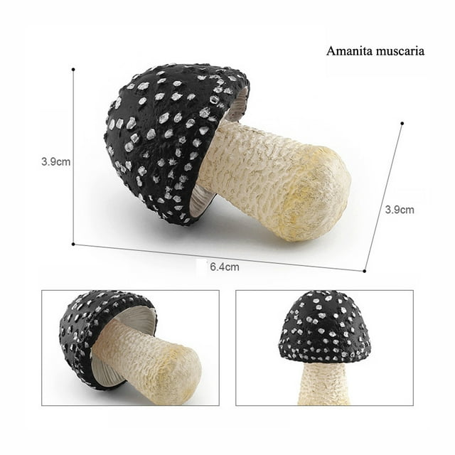 Simulation Montessori Around The World Building Mountain Plant Vegetable Fungi Mushroom Matsutake Model Figures Collection Toys