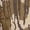 Mossy Oak Original Bottomland, variant on MidwayUSA Men's Ambush Hoodie Mossy Oak Original Bottomland Medium