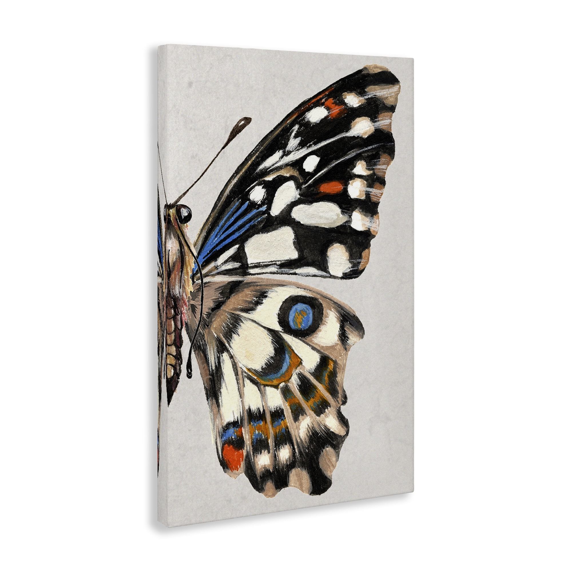 Stupell Industries Butterfly Wing with Spots Animals & Insects Painting Gallery Wrapped Canvas Art Print Wall Art, 24 x 36