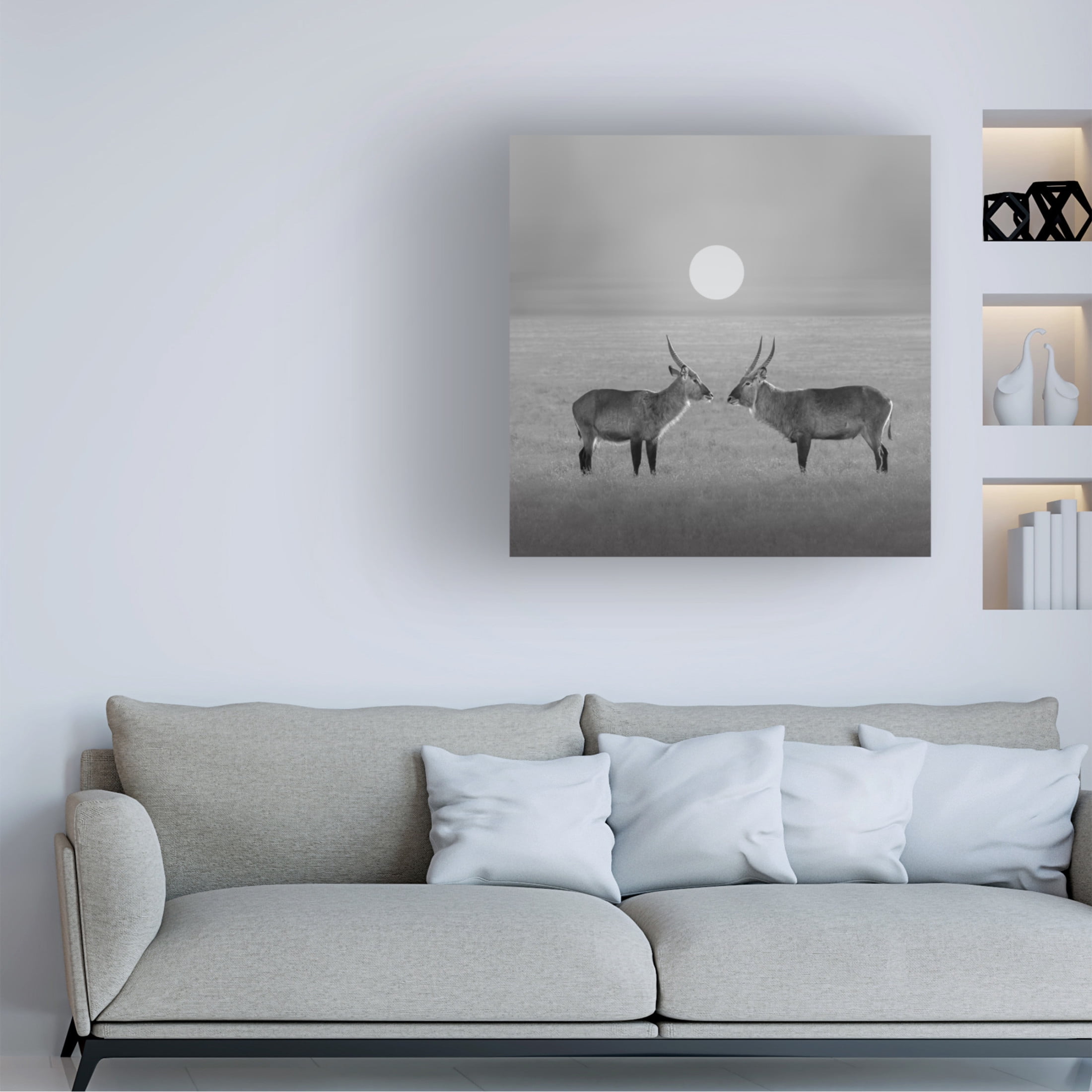 Trademark Fine Art Julia Chen Eye to Eye Canvas Wall Art
