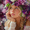 Impressionist Woman Purple Floral Crown, variant on Qisvanset Tortoise On Road Canvas Wall Art 15.75x11.81 Inches