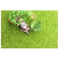 thumbnail image 5 of DIY Mini Simulation Flocking Turf Moss Micro-Landscape 15x15cm, 5 of 5
