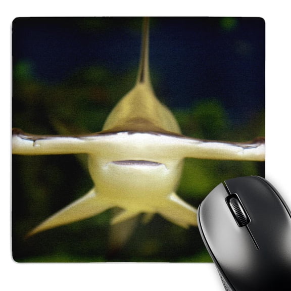 3dRose, scalloped hammerhead shark, Sphyrna lewini viviparous, MousePad