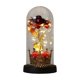 thumbnail image 2 of YiJuHui Preserved Rose in Glass Dome with LED Light, Real Rose Night Light, Romantic Gift for Valentine's Day Anniversary, Illuminated Flower Display for Home Decor, 2 of 6