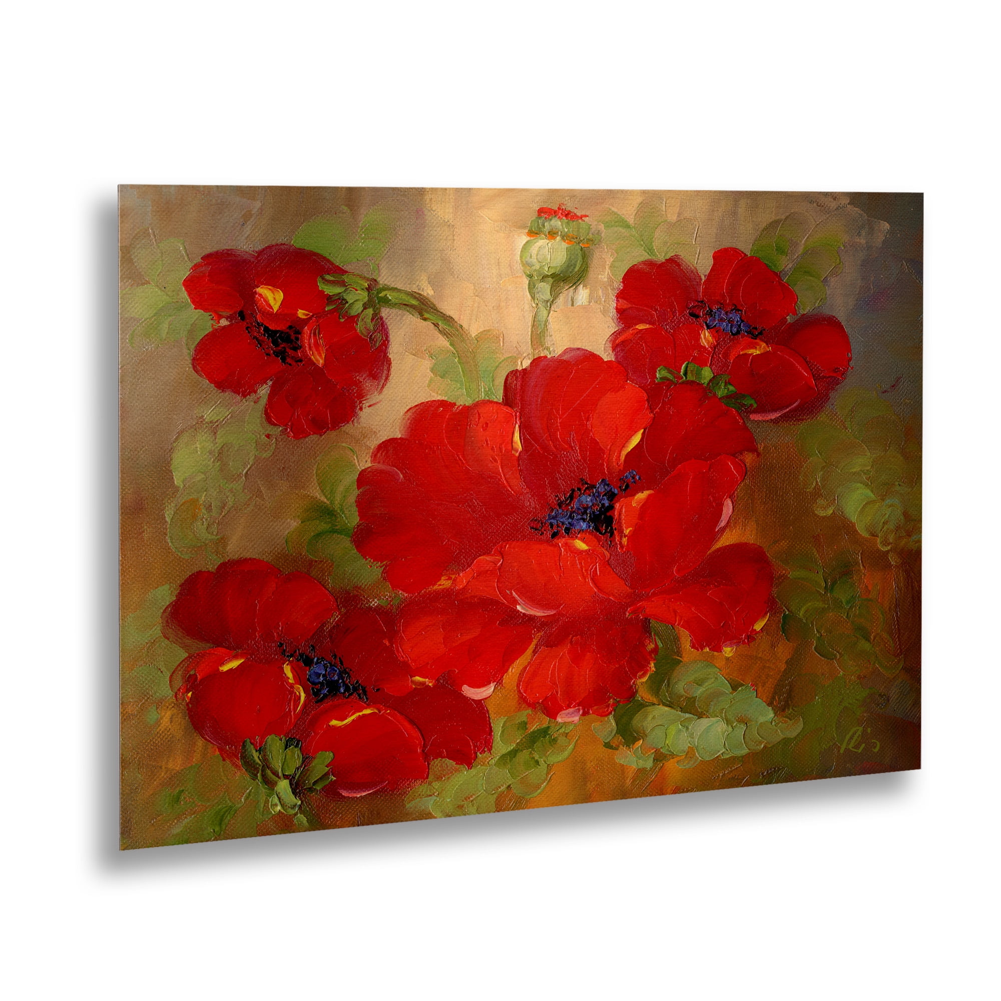 Trademark Fine Art 'Poppies' Floating Brushed Aluminum Art by Masters Fine Art