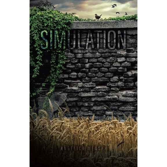 Simulation, (Paperback)