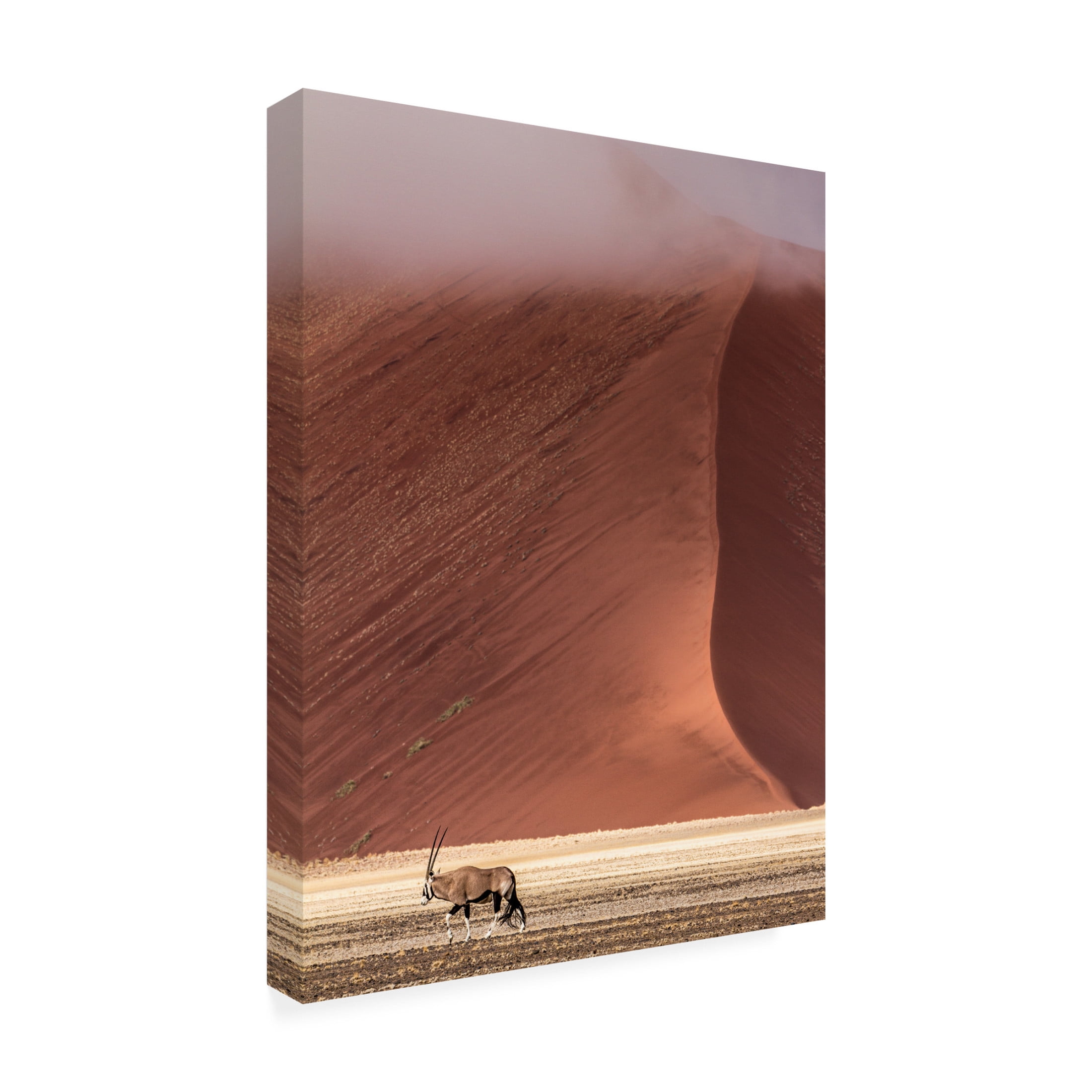 Canvas Wall Art - Marco Tagliarino 'In The Wild' Wall Art for Living Room, Bedroom, or Office D?cor by Trademark Fine Art - 24 x 32 Inches