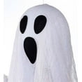 thumbnail image 3 of Plow & Hearth Hanging Ghost With Color-Changing Lights, 3 of 6