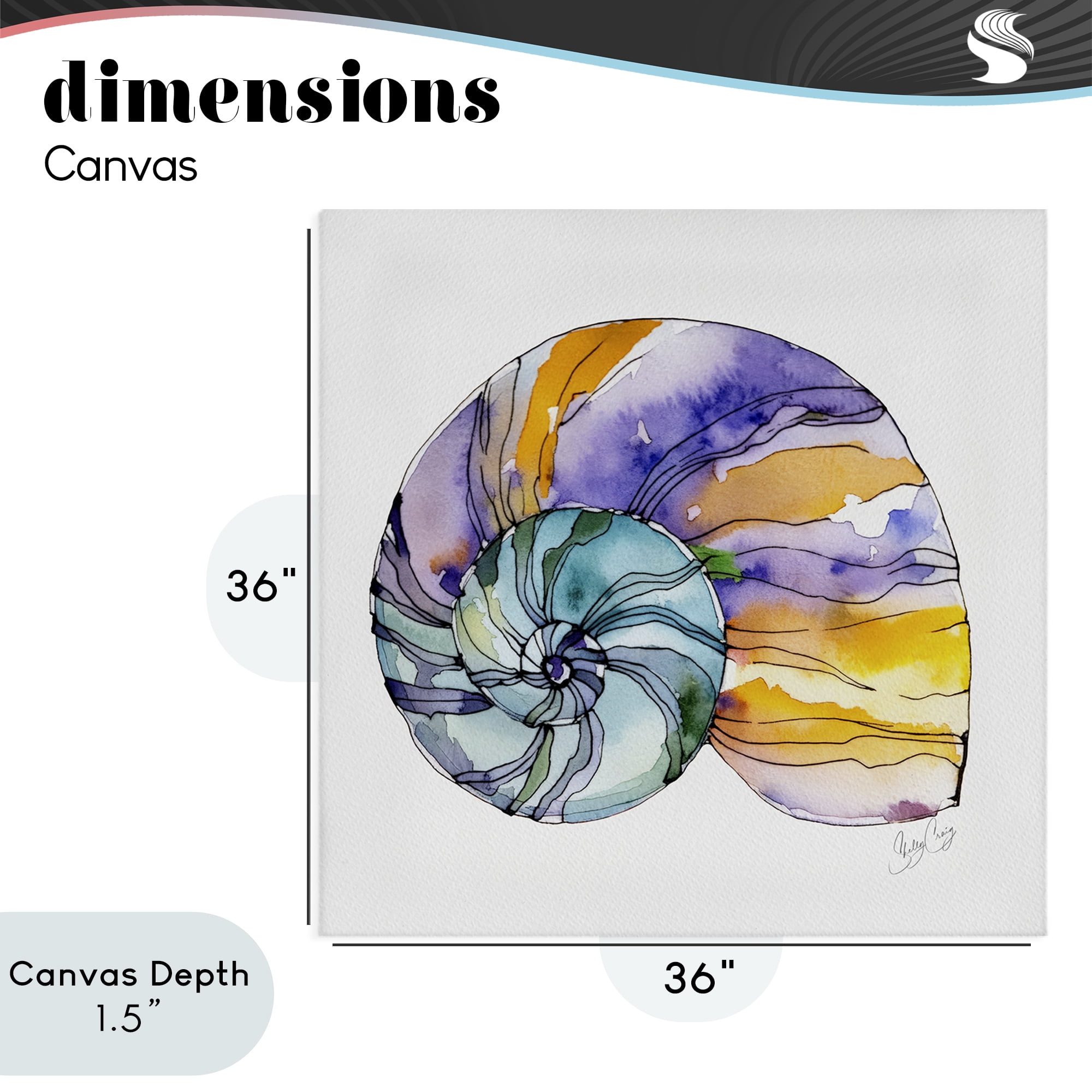 Stupell Industries Sunlit Striped Nautilus Canvas Wall Art, design by Shelly Craig