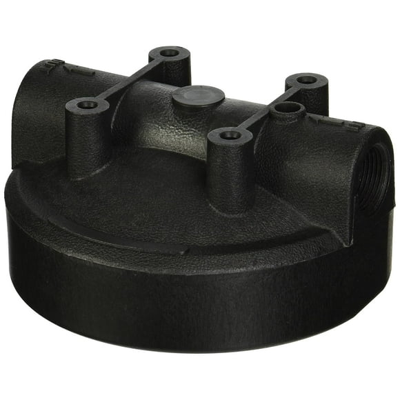 Pentek 154077 Black Cap with Pressure Release for Big Blue Housing, 1-Inch