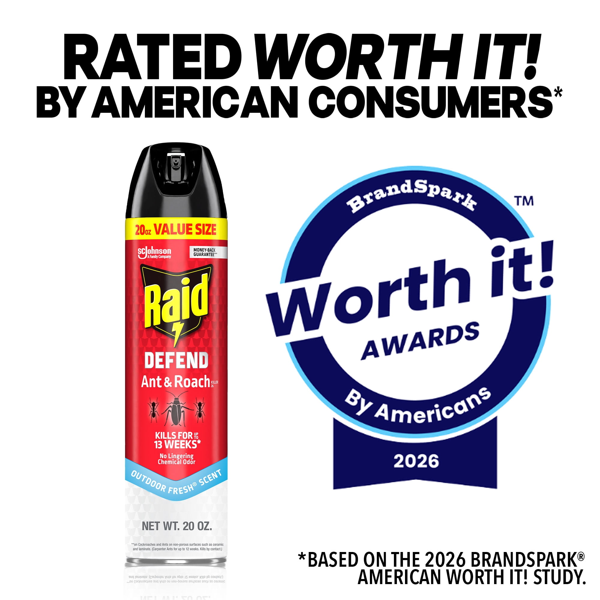 Raid Ant and Roach Killer Spray, Residual Action Up to 13 Weeks