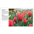thumbnail image 3 of Plant Lover's Guide to Tulips - Hardcover, 3 of 6