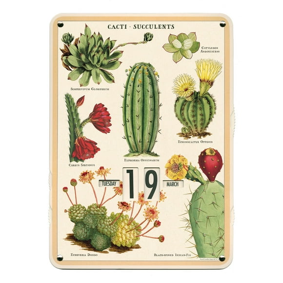Succulents Perpetual Calendar