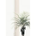 thumbnail image 3 of 1x Studio III 17x24 Black Modern Framed Museum Art Print Titled - Palm tree, 3 of 5