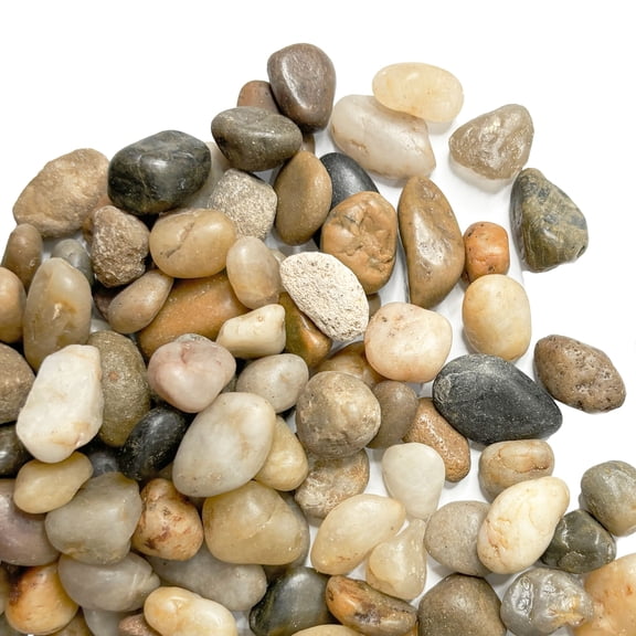5lb Pea Gravel for Plants, Mixed Color Natural Pebbles Sand for Plants and Cactus, 1/5 Inch