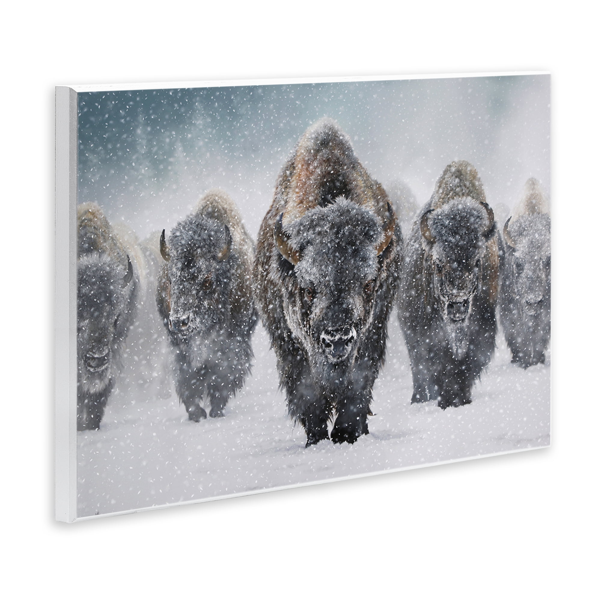 Stupell Industries Indomitable Bison in Snow Animals Photography Unframed Art Print Wall Art, 19 x 13