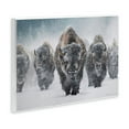 thumbnail image 4 of Stupell Industries Indomitable Bison in Snow Animals Photography Unframed Art Print Wall Art, 19 x 13, 4 of 8