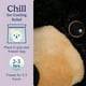 thumbnail image 5 of Animal de peluche Warmies Black Bear, apto para microondas y pesado, 5 of 6