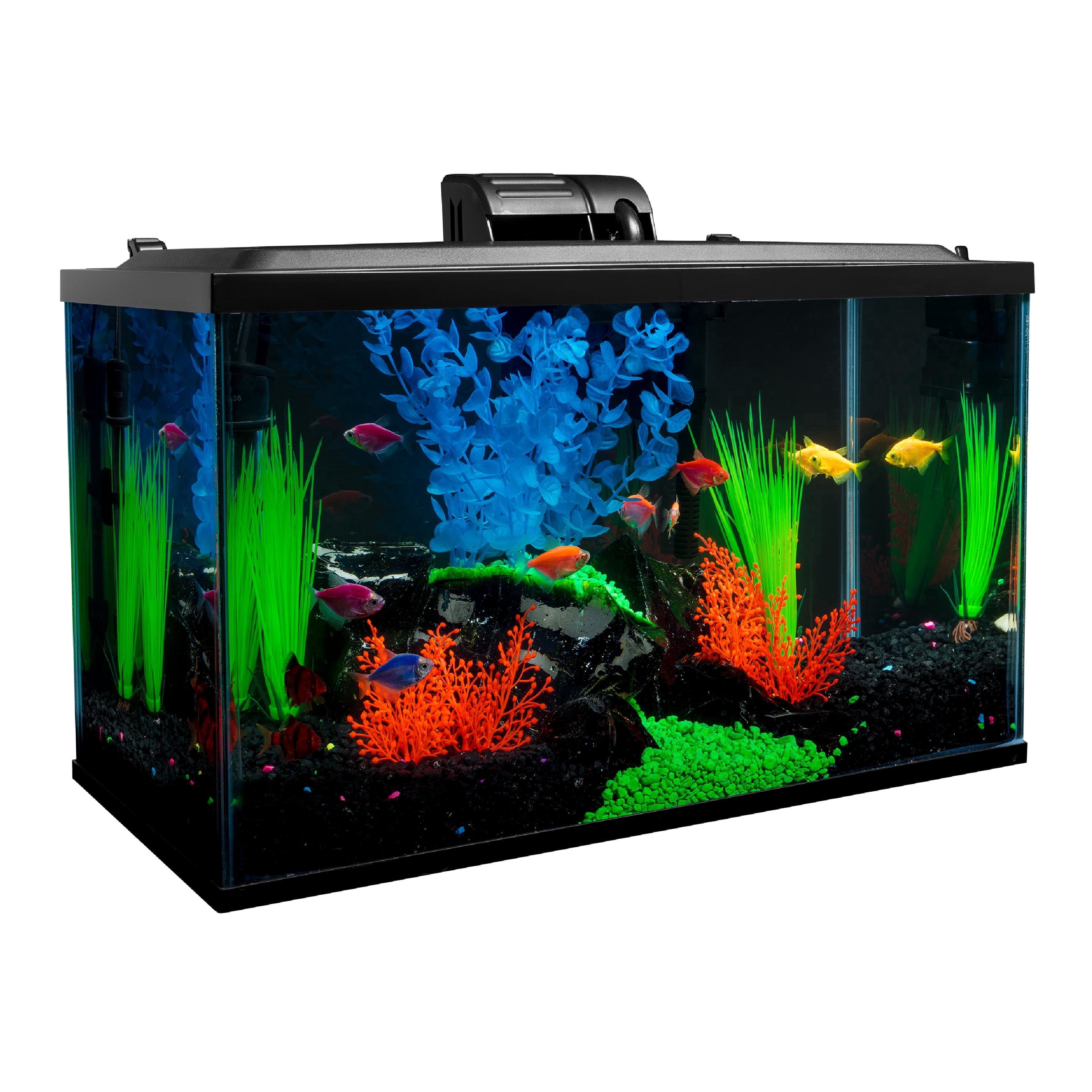 5 gallon fish tank with overflow box Quality Acrylic Self Start Siphon Hang On Super Quiet for Aquarium : Pet Supplies It also arrives with a heater GloFish 5 Gallon Aquarium Kit