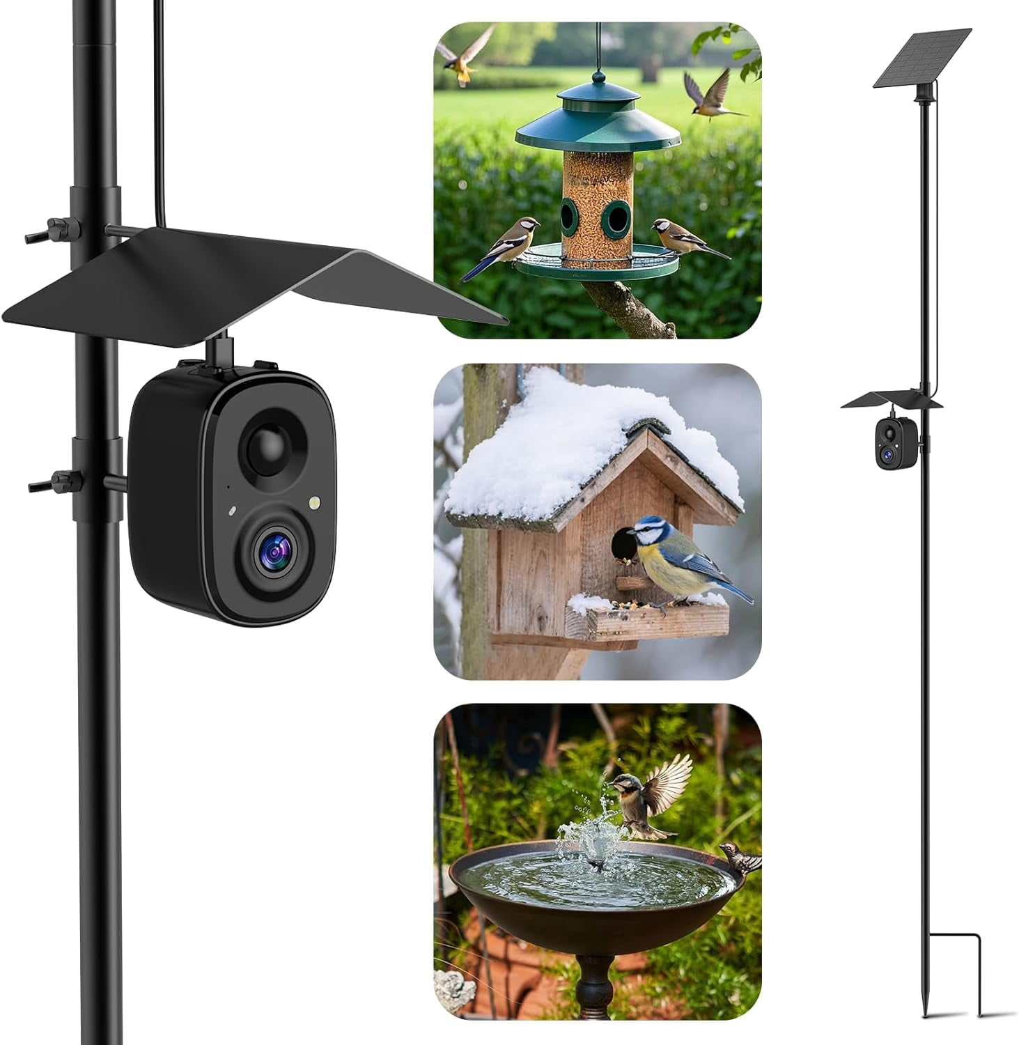 Smart Bird Feeder Camera Solar Powered with Pole