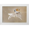 thumbnail image 1 of Kazlauskas, Jonas 18x13 White Modern Wood Framed Museum Art Print Titled - Bearded tit, 1 of 4