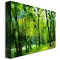 thumbnail image 2 of Trademark Fine Art "Forest Walk in Spring" Canvas Wall Art by Lois Bryan, 2 of 2
