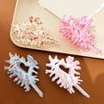 thumbnail image 6 of Friendly Plastic Hair Claw Clip Conch Shape Hair Accessory Cartoon Hair Decoration For Women Girls Creative Gift, 6 of 8