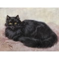 thumbnail image 2 of Art.com Black Persian Cat Stretched Canvas Print Wall Art, 32" x 24", 2 of 4