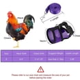 thumbnail image 2 of Matsuzay Chicken Duck Harness Breathable Hen Elastic Walking Pet Comfortable Yard Belt Vest Portable Training Farm Garden Juegos de accesorios de baño No.13 Matsuzay HA042366-13, 2 of 5