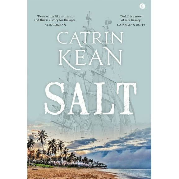 Salt (Paperback)