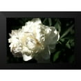 thumbnail image 2 of Calkins, Michelle 14x11 Black Modern Framed Museum Art Print Titled - White Peony In Spring, 2 of 5