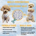 thumbnail image 6 of SUCS Dog Recovery Suit Post Surgery Shirt for Puppy, Wound Protective Clothes for Little Animals Dogs Cat, 6 of 7