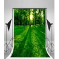 thumbnail image 3 of BSDHOME 5x7ft Photography Backdrop Low Setting Sun in Green Park Casting Long Shadows Forest Photo Background Backdrops, 3 of 4